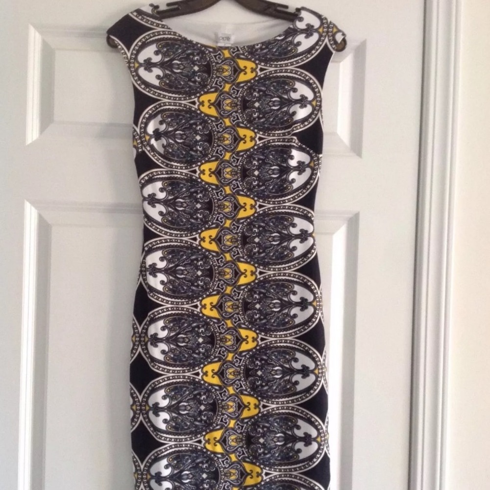 Beautiful Cache’ Dress NWT Sz S